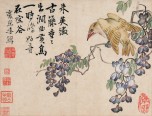 花鸟册十开 | 清代/李鱓