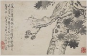花鸟册十二开 | 清代/李鱓