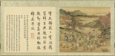 御题棉花图册 | 清代/方观承
