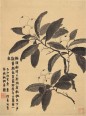 八开册页 | 清代/金农
