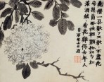 花卉册六开 | 清代/金农