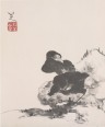 花鸟山水册八开 | 清代/朱耷