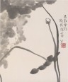 花鸟山水册八开 | 清代/朱耷