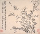 梅花图册页 | 清代/金农