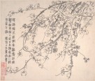 梅花图册页 | 清代/金农