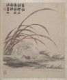 墨戏图册 | 清代/金农