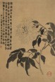 杂画十二开册页 | 清代/金农