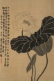 杂画十二开册页 | 清代/金农