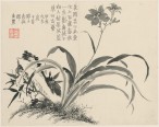 杂画十二开 | 清代/金农