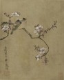 花鸟草虫图册 | 明代/陈洪绶