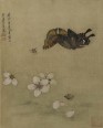 花鸟草虫图册 | 明代/陈洪绶