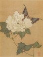花鸟写生册 | 明代/陈洪绶