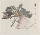 杂画册 | 清代/虚谷