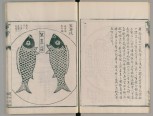 金石索 | 清代/冯云鹏 冯云鹓 辑