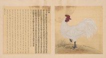 鸟谱·第六册 | 清代/余省&张为邦