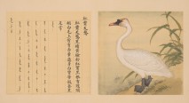 鸟谱·第七册 | 清代/余省&张为邦