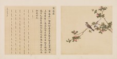 鸟谱·第三册 | 清代/余省&张为邦