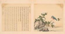 鸟谱·第十册 | 清代/余省&张为邦
