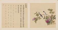 鸟谱·第四册 | 清代/余省&张为邦