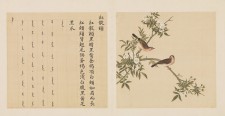 鸟谱·第四册 | 清代/余省&张为邦