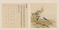 鸟谱·第四册 | 清代/余省&张为邦