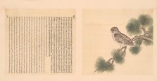 鸟谱·第十二册 | 清代/余省&张为邦