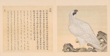 鸟谱·第十一册 | 清代/余省&张为邦