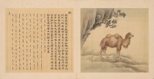 兽谱图册·第三册 | 清代/余省 张为邦