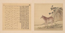 兽谱图册·第三册 | 清代/余省 张为邦