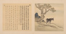 兽谱图册·第三册 | 清代/余省 张为邦