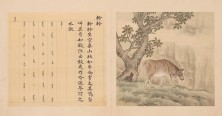 兽谱图册·第五册 | 清代/余省 张为邦