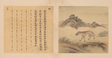 兽谱图册·第二册 | 清代/余省 张为邦
