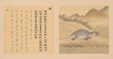 兽谱图册·第六册 | 清代/余省 张为邦