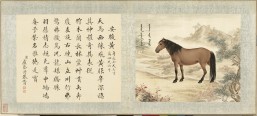 御马图册 | 清代绘本