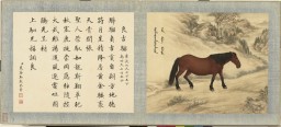 御马图册 | 清代绘本
