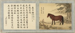 御马图册 | 清代绘本