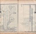植物名实图考 | 清刊本