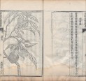 植物名实图考 | 清刊本