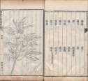 植物名实图考 | 清刊本