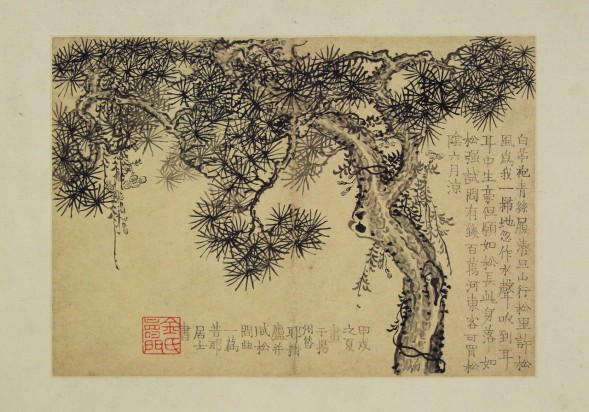花卉图册 | 清代/金农