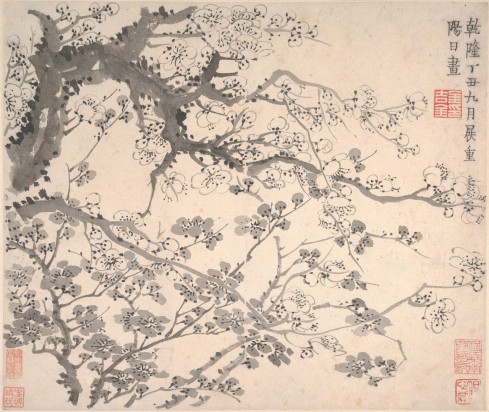 梅花图册页 | 清代/金农