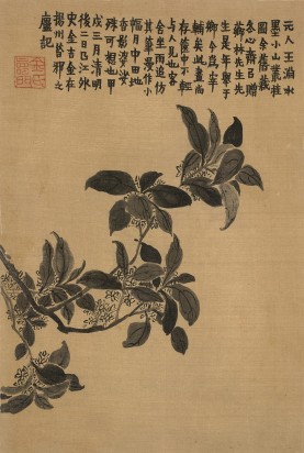 杂画十二开册页 | 清代/金农
