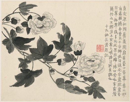 杂画十二开 | 清代/金农