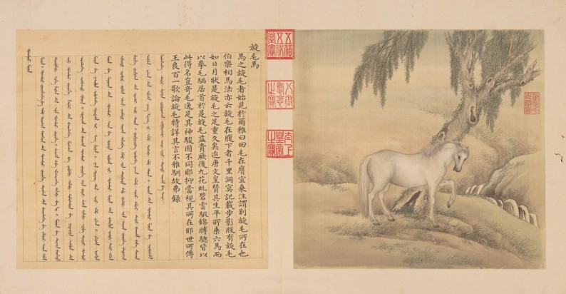 兽谱图册·第三册 | 清代/余省 张为邦