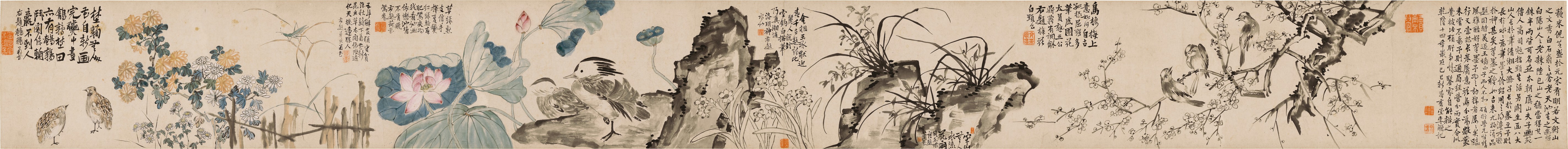 冷艳幽香图卷 | 清代/李鱓