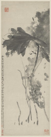 墨荷图轴 | 清代/朱耷