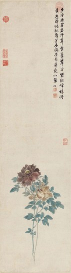牡丹图轴 | 明代/陆治