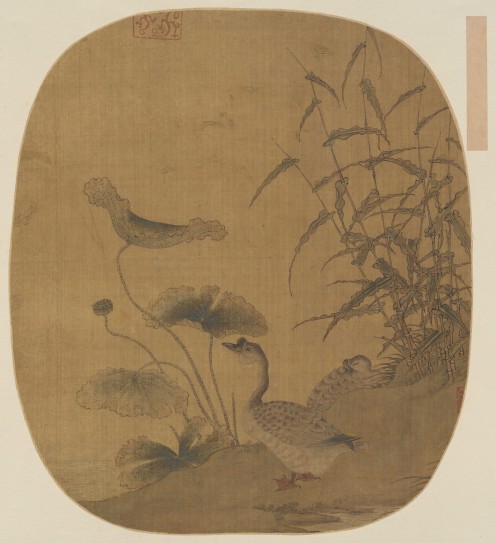 荷塘双鹅图页 | 明代/佚名