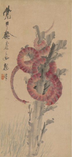 赤蛇图轴 | 清代/虚谷