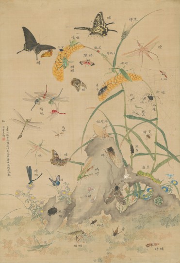 合绘昆虫图轴 | 清代/屈兆麟、黄际明 等